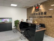 专转本零基础，一年上岸完整规划！照着学，稳稳上岸